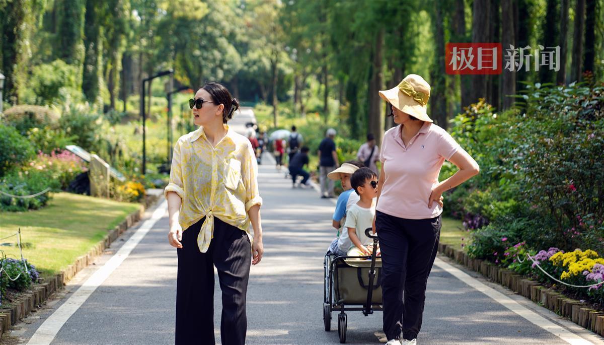 澳洲黄冠网站
